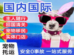 恩施许家坪机场空运国际宠物托运 【国
